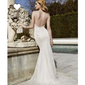 Meet your Posher, The honeybee